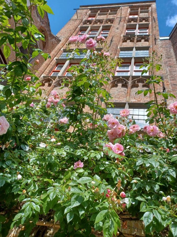 De Zomere B&B Brugge Buitenkant foto