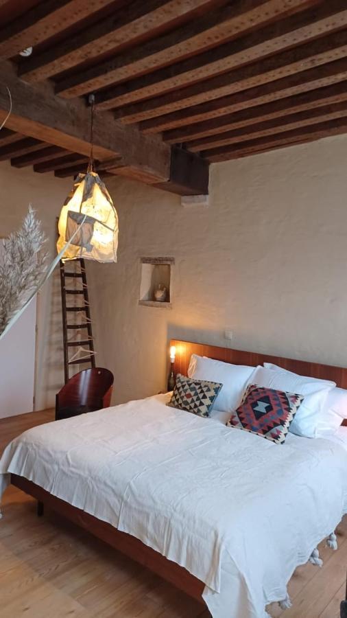 De Zomere B&B Brugge Buitenkant foto