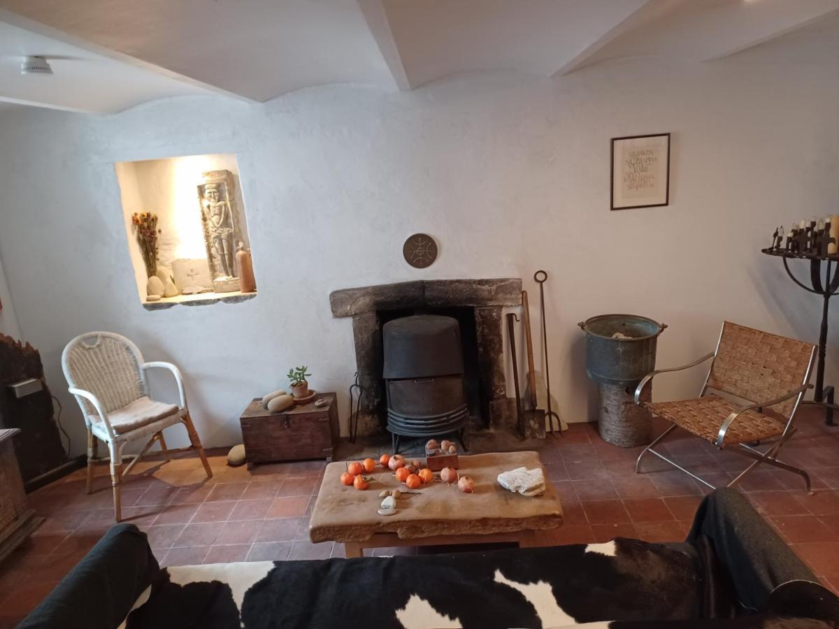 De Zomere B&B Brugge Buitenkant foto